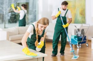 About Janitorial Services