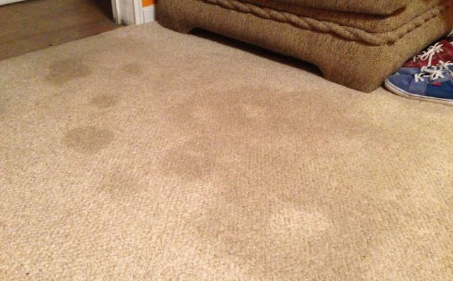 Carpet Cleaning Tips How to Get Rid of Bad Smells